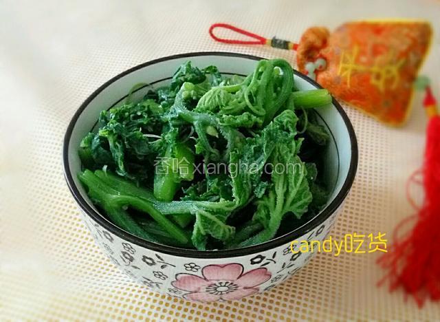 盐水南瓜苗