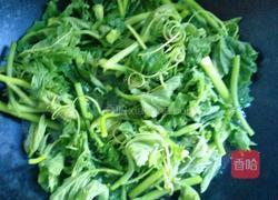 盐水南瓜苗的做法图解2