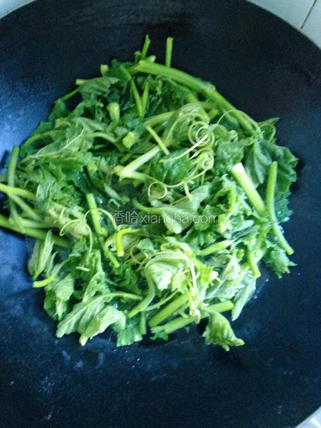 倒入撕好的南瓜苗