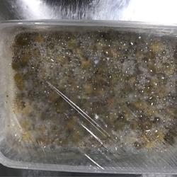 天然葡萄种
