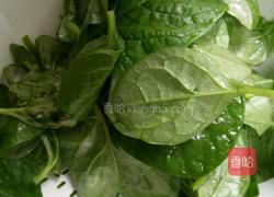 蒜泥蚝油木耳菜的做法图解1