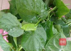 鱼腥草猪展汤的做法图解6