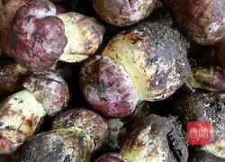 青椒炒菌的做法图解1