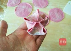 牡丹花饺子 的做法图解9