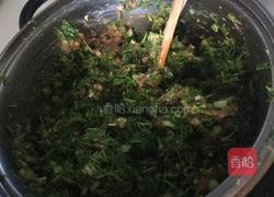 茴香包子的做法图解5