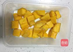 芒果椰汁冻的做法图解6