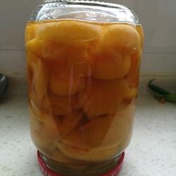 黄杏罐头的做法[图]