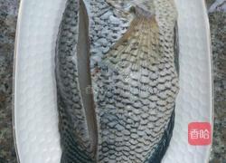 清蒸花斑鱼的做法图解1