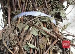 仙草冻的做法图解1