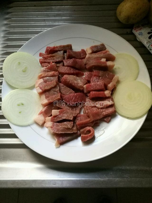配点洋葱