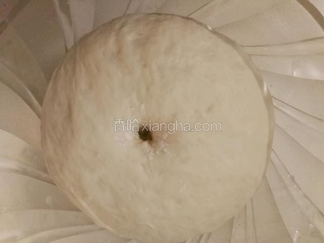 等面团发酵至二倍大时，排气，进行二次发酵。等再次发酵至二倍大时，用手指蘸取干面粉在面团中间戳一个洞，如果面团不粘手不回缩就是发酵好了。