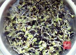 自发黑豆芽的做法图解8