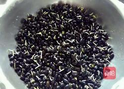 自发黑豆芽的做法图解6