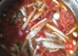 海鲜菇西红柿肉丸汤的做法图解13