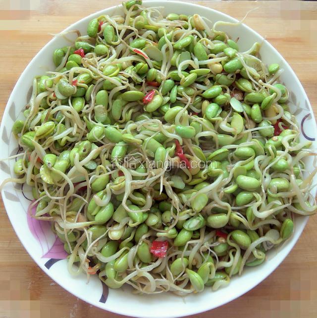 炝炒自发黑豆芽
