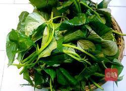炝炒红薯叶的做法图解1