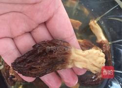 羊肚菌猪骨汤的做法图解3