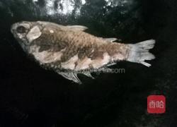 鲫鱼木耳汤的做法图解2