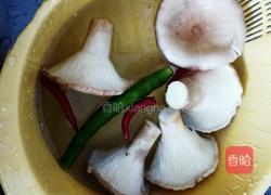 猪油蒸大肚菇的做法图解1