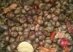 秘制煮田螺的做法图解3