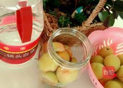 杏梅酒的做法图解4