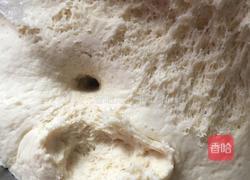 酱肉豆角包子的做法图解1