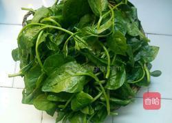 清炒豆腐菜的做法图解2