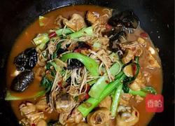 西红柿炖鸡块的做法图解16