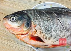 清蒸红鲳鱼的做法图解2