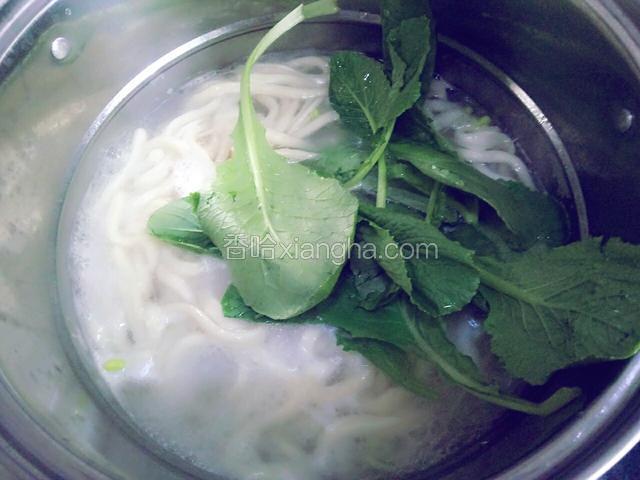 再开的时候放青菜