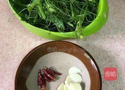 素炒佛手瓜苗的做法图解3