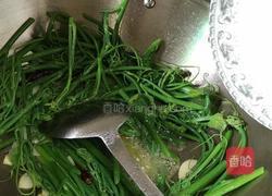 素炒佛手瓜苗的做法图解6