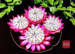 火龙果莲花果盘的做法图解15