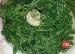 清炒洋瓜尖的做法图解6