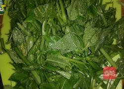 清炒洋瓜尖的做法图解1