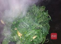 清炒洋瓜尖的做法图解3