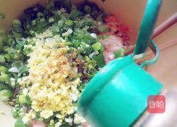 猪肉茴香包子的做法图解12