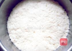 猪肉茴香包子的做法图解17