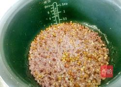 粗粮饭的做法图解6