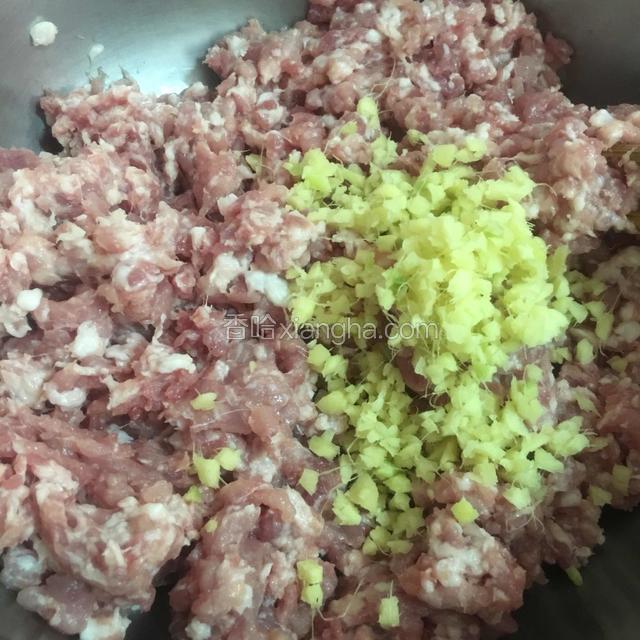 肉馅放入姜末，搅拌均匀。