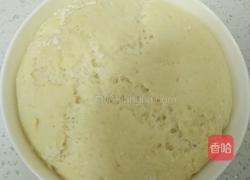 胡萝卜牛肉包子的做法图解7