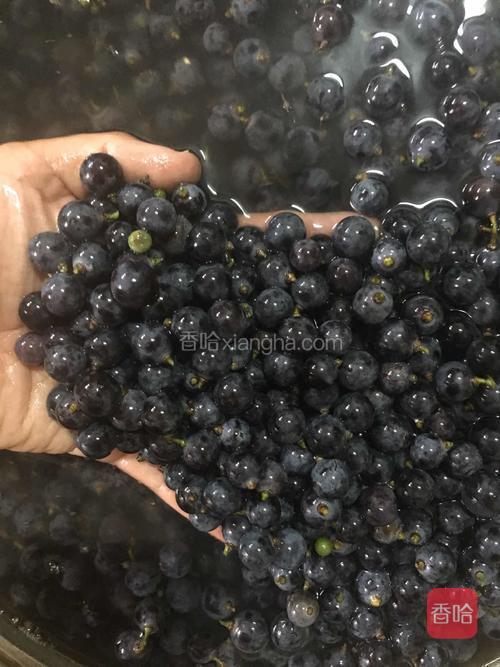 剪开葡萄，带根泡入盐水十分钟，去掉烂子，洗净控干。