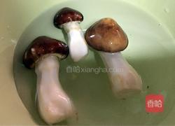 姬松茸炖瘦肉汤的做法图解3