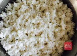 醪糟的做法图解7