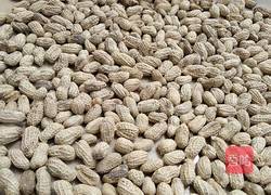 咸干花生的做法图解5