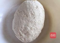 打卤面（角瓜肉丝卤）的做法图解3