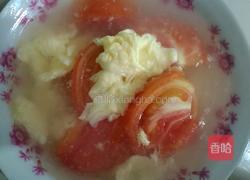 番茄蛋汤的做法图解4