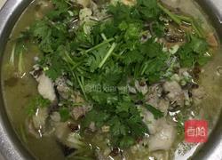 酸菜黑鱼的做法图解8
