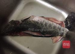酸菜黑鱼的做法图解1