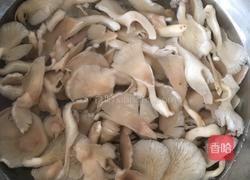 香酥鳳尾蘑的做法圖解3